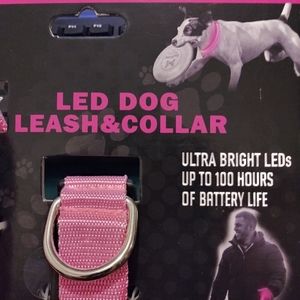 Led Dog Leash & Collar